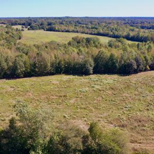 Photo #5 of SOLD property in Off Lowrys Road, Gaffney, SC 579.9 acres