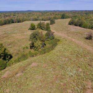 Photo #6 of SOLD property in Off Lowrys Road, Gaffney, SC 579.9 acres