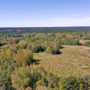 Photo #7 of SOLD property in Off Lowrys Road, Gaffney, SC 579.9 acres