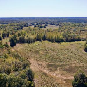 Photo #8 of SOLD property in Off Lowrys Road, Gaffney, SC 579.9 acres
