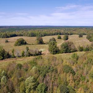 Photo #10 of SOLD property in Off Lowrys Road, Gaffney, SC 579.9 acres