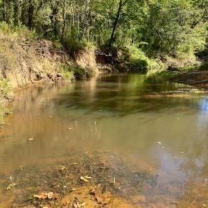 Photo #21 of SOLD property in Off Lowrys Road, Gaffney, SC 579.9 acres