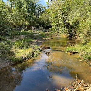 Photo #22 of SOLD property in Off Lowrys Road, Gaffney, SC 579.9 acres
