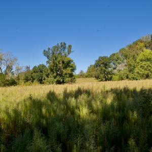 Photo #25 of SOLD property in Off Lowrys Road, Gaffney, SC 579.9 acres