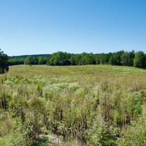 Photo #26 of SOLD property in Off Lowrys Road, Gaffney, SC 579.9 acres