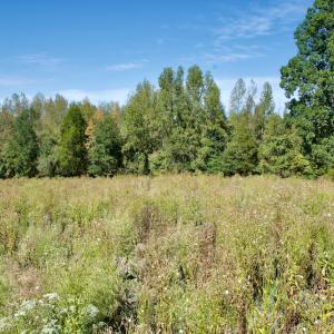Photo #27 of SOLD property in Off Lowrys Road, Gaffney, SC 579.9 acres