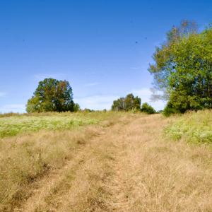 Photo #29 of SOLD property in Off Lowrys Road, Gaffney, SC 579.9 acres