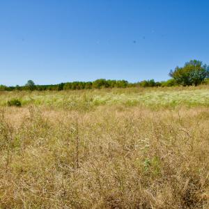 Photo #30 of SOLD property in Off Lowrys Road, Gaffney, SC 579.9 acres