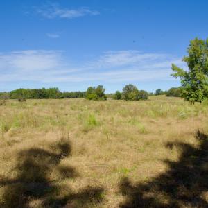 Photo #31 of SOLD property in Off Lowrys Road, Gaffney, SC 579.9 acres
