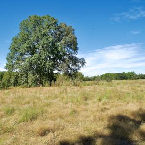 Photo #32 of SOLD property in Off Lowrys Road, Gaffney, SC 579.9 acres
