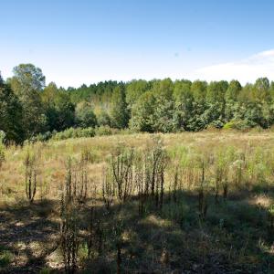 Photo #33 of SOLD property in Off Lowrys Road, Gaffney, SC 579.9 acres