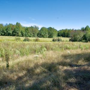 Photo #35 of SOLD property in Off Lowrys Road, Gaffney, SC 579.9 acres