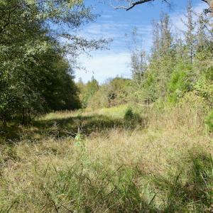 Photo #36 of SOLD property in Off Lowrys Road, Gaffney, SC 579.9 acres