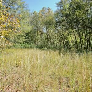 Photo #37 of SOLD property in Off Lowrys Road, Gaffney, SC 579.9 acres