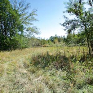 Photo #38 of Off Lowrys Road, Gaffney, SC 579.9 acres