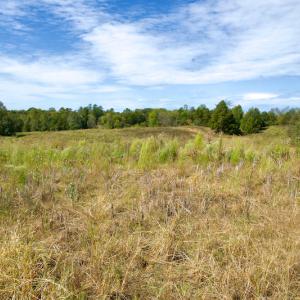 Photo #39 of SOLD property in Off Lowrys Road, Gaffney, SC 579.9 acres