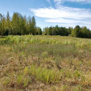 Photo #40 of SOLD property in Off Lowrys Road, Gaffney, SC 579.9 acres