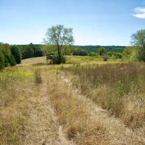 Photo #41 of SOLD property in Off Lowrys Road, Gaffney, SC 579.9 acres
