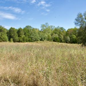 Photo #42 of SOLD property in Off Lowrys Road, Gaffney, SC 579.9 acres