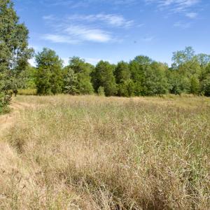 Photo #43 of Off Lowrys Road, Gaffney, SC 579.9 acres