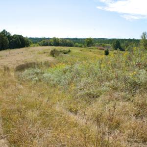 Photo #44 of SOLD property in Off Lowrys Road, Gaffney, SC 579.9 acres