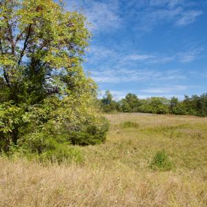 Photo #45 of SOLD property in Off Lowrys Road, Gaffney, SC 579.9 acres