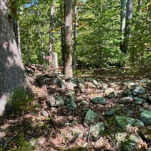 Photo #46 of Off Lowrys Road, Gaffney, SC 579.9 acres