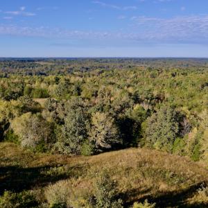 Photo #11 of Off Wilkinsville Hwy (Hwy 105), Gaffney, SC 579.6 acres
