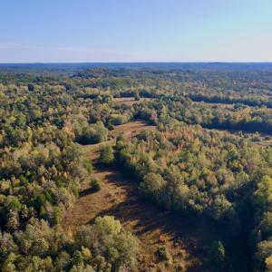 Photo #13 of Off Wilkinsville Hwy (Hwy 105), Gaffney, SC 579.6 acres