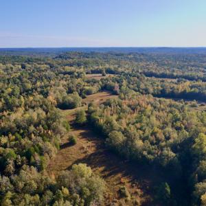 Photo #12 of Off Wilkinsville Hwy (Hwy 105), Gaffney, SC 579.6 acres