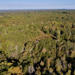 Photo #15 of Off Wilkinsville Hwy (Hwy 105), Gaffney, SC 579.6 acres