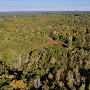 Photo #14 of Off Wilkinsville Hwy (Hwy 105), Gaffney, SC 579.6 acres