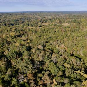 Photo #16 of Off Wilkinsville Hwy (Hwy 105), Gaffney, SC 579.6 acres