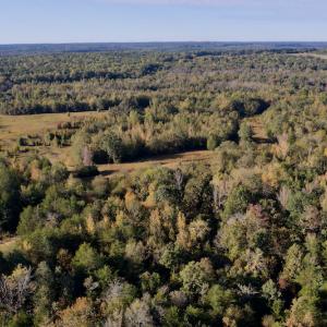 Photo #16 of Off Wilkinsville Hwy (Hwy 105), Gaffney, SC 579.6 acres