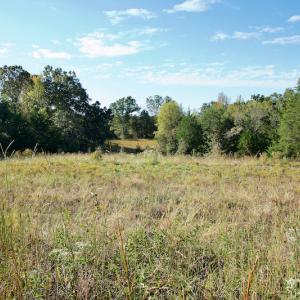 Photo #17 of Off Wilkinsville Hwy (Hwy 105), Gaffney, SC 579.6 acres