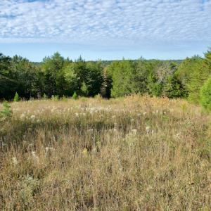 Photo #18 of Off Wilkinsville Hwy (Hwy 105), Gaffney, SC 579.6 acres