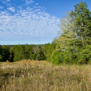 Photo #19 of Off Wilkinsville Hwy (Hwy 105), Gaffney, SC 579.6 acres