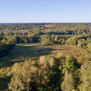 Photo #2 of Off Wilkinsville Hwy (Hwy 105), Gaffney, SC 579.6 acres