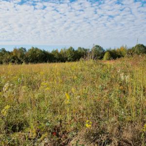 Photo #21 of Off Wilkinsville Hwy (Hwy 105), Gaffney, SC 579.6 acres