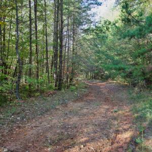 Photo #23 of Off Wilkinsville Hwy (Hwy 105), Gaffney, SC 579.6 acres