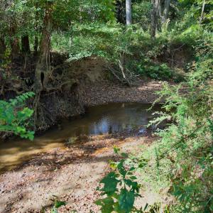 Photo #25 of Off Wilkinsville Hwy (Hwy 105), Gaffney, SC 579.6 acres