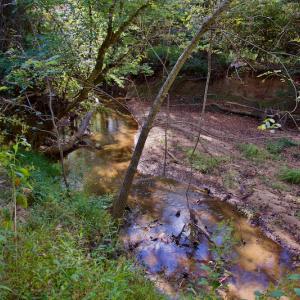 Photo #26 of Off Wilkinsville Hwy (Hwy 105), Gaffney, SC 579.6 acres