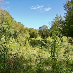 Photo #27 of Off Wilkinsville Hwy (Hwy 105), Gaffney, SC 579.6 acres