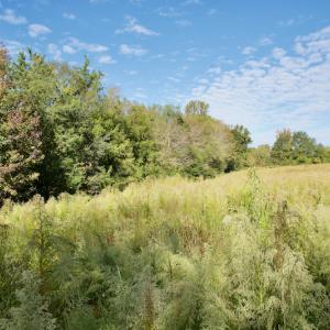 Photo #28 of Off Wilkinsville Hwy (Hwy 105), Gaffney, SC 579.6 acres