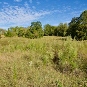 Photo #29 of Off Wilkinsville Hwy (Hwy 105), Gaffney, SC 579.6 acres