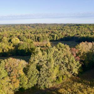 Photo #3 of Off Wilkinsville Hwy (Hwy 105), Gaffney, SC 579.6 acres