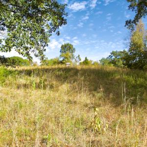 Photo #31 of Off Wilkinsville Hwy (Hwy 105), Gaffney, SC 579.6 acres