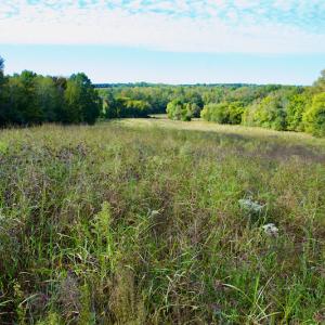 Photo #32 of Off Wilkinsville Hwy (Hwy 105), Gaffney, SC 579.6 acres