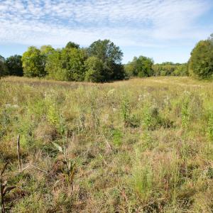 Photo #33 of Off Wilkinsville Hwy (Hwy 105), Gaffney, SC 579.6 acres