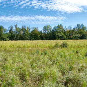 Photo #34 of Off Wilkinsville Hwy (Hwy 105), Gaffney, SC 579.6 acres